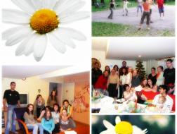 Heřmánek není jen léčivá rostlina...