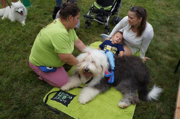 Nadační městečko